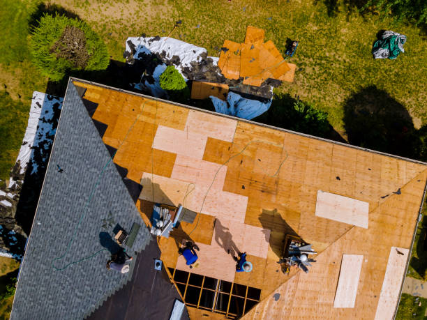 Best Metal Roofing Contractor  in St Johns, AZ