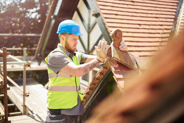 Roof Installation Near Me in St Johns, AZ