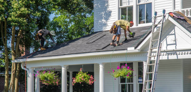 Best Storm Damage Roof Repair  in St Johns, AZ